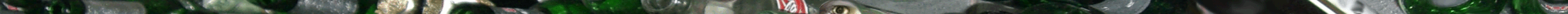 Eingef�gtes Bild