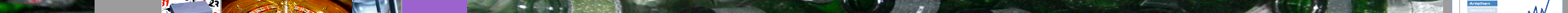 Eingef�gtes Bild