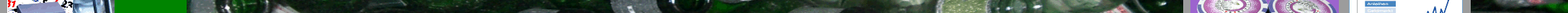 Eingef�gtes Bild