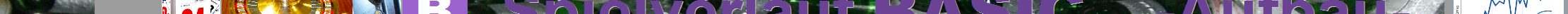 Eingef�gtes Bild