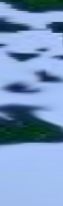 Eingef�gtes Bild