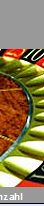 Eingef�gtes Bild