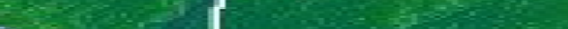 Eingef�gtes Bild