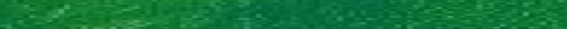 Eingef�gtes Bild