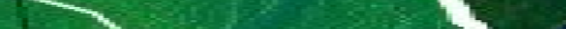 Eingef�gtes Bild
