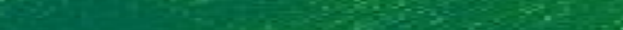 Eingef�gtes Bild