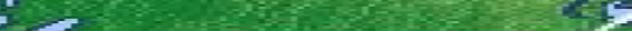 Eingef�gtes Bild