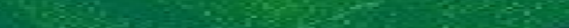 Eingef�gtes Bild