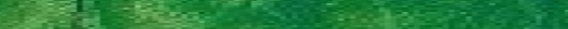 Eingef�gtes Bild