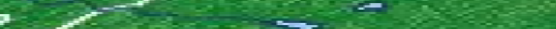 Eingef�gtes Bild