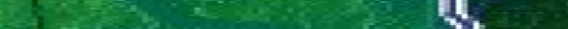 Eingef�gtes Bild