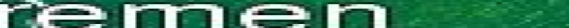 Eingef�gtes Bild