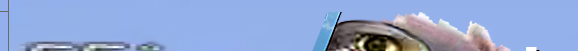 Eingef�gtes Bild