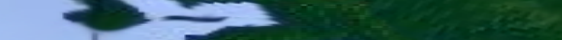 Eingef�gtes Bild