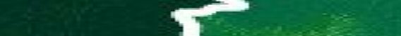 Eingef�gtes Bild