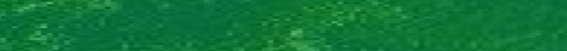 Eingef�gtes Bild