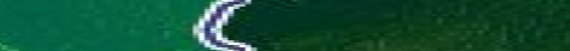Eingef�gtes Bild