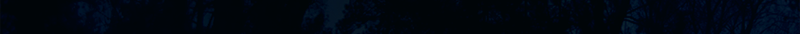 Eingef�gtes Bild