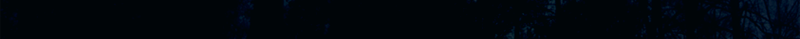 Eingef�gtes Bild