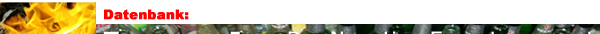 Eingef�gtes Bild
