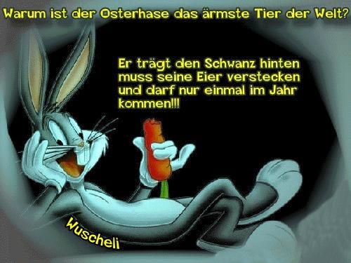 235753476_Osterhase-DasrmsteTier.jpg.9f4331c04efb65434db8c702a4b881b5.jpg