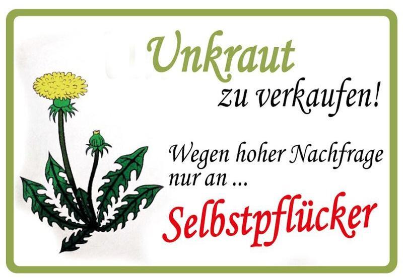 482822200_Unkrautzuverkaufen.jpg.53f53d8cccbfe6777bcc4ca1341fea50.jpg