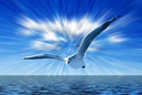 image.png.7081c701cd90b6467faf0e1d3452260c.png