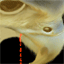 wg0028-acweb.gif